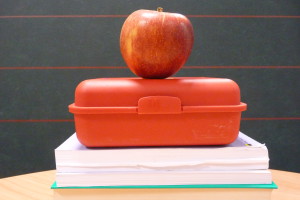 Foto_Apfel_Brotbüchse©SLfG ©SLfG