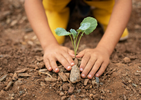 Aufwuchs KINDER STÄRKEN 2.0 © Freepik © Freepik