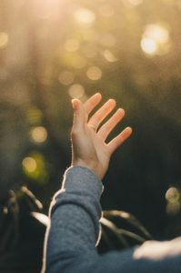 © dev-benjamin-voIzq8LEdlo-unsplash © dev-benjamin-voIzq8LEdlo-unsplash