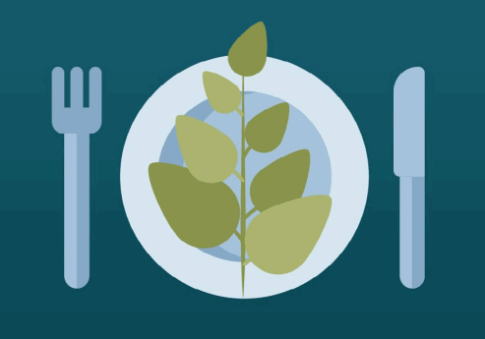 neues Bild für Fließtext 24-12-19 neues Bild für Fließtext 24-12-19