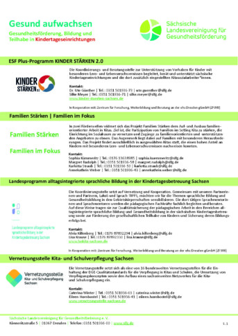 Projektflyer Lebenswelt KITA