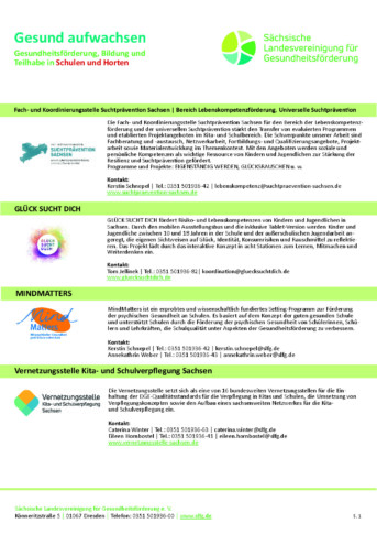 Projektflyer Lebenswelt SCHULE und HORTE