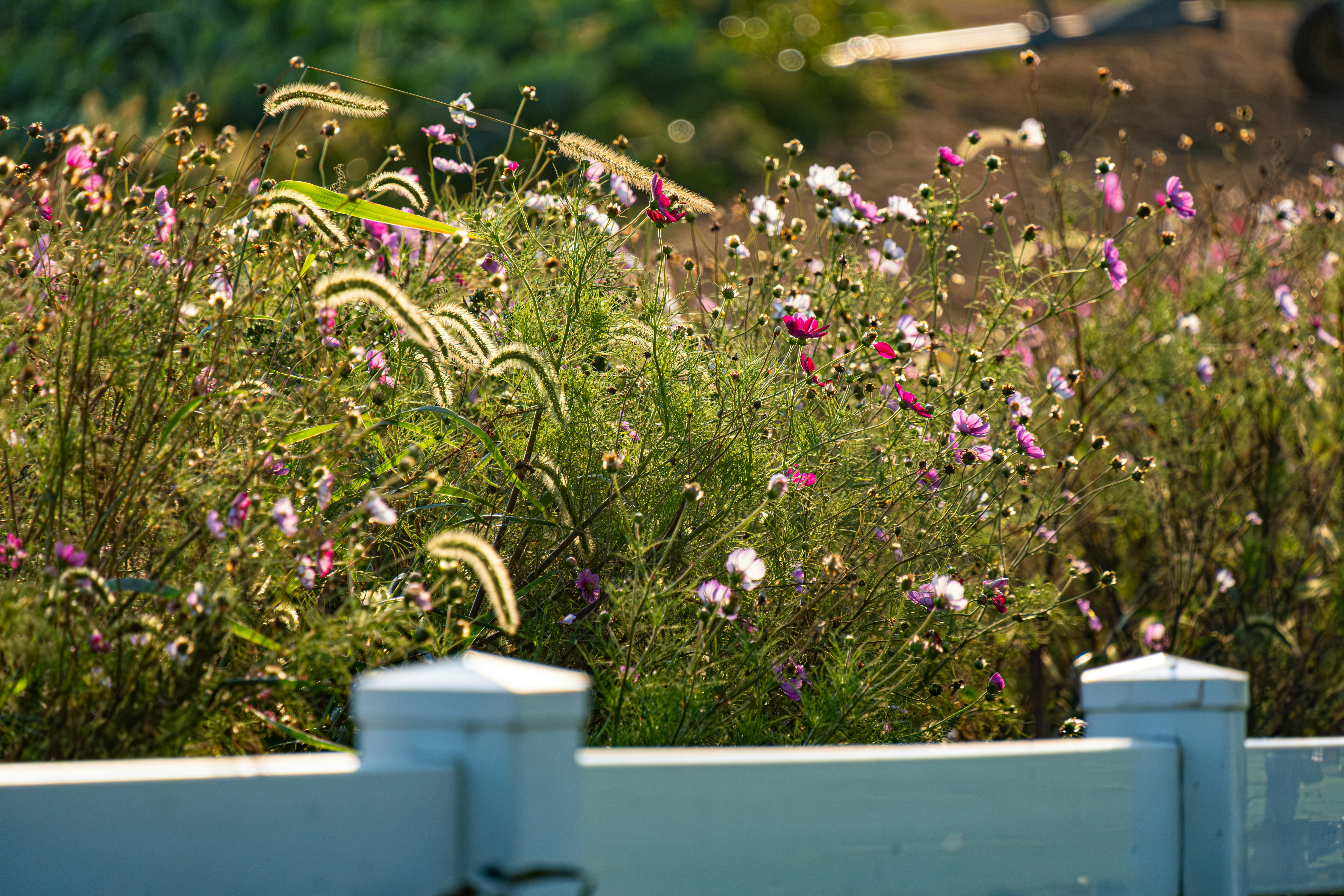 © Michael Chiara_unsplash