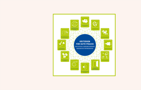 Good Practice-Kriterien Good Practice-Kriterien