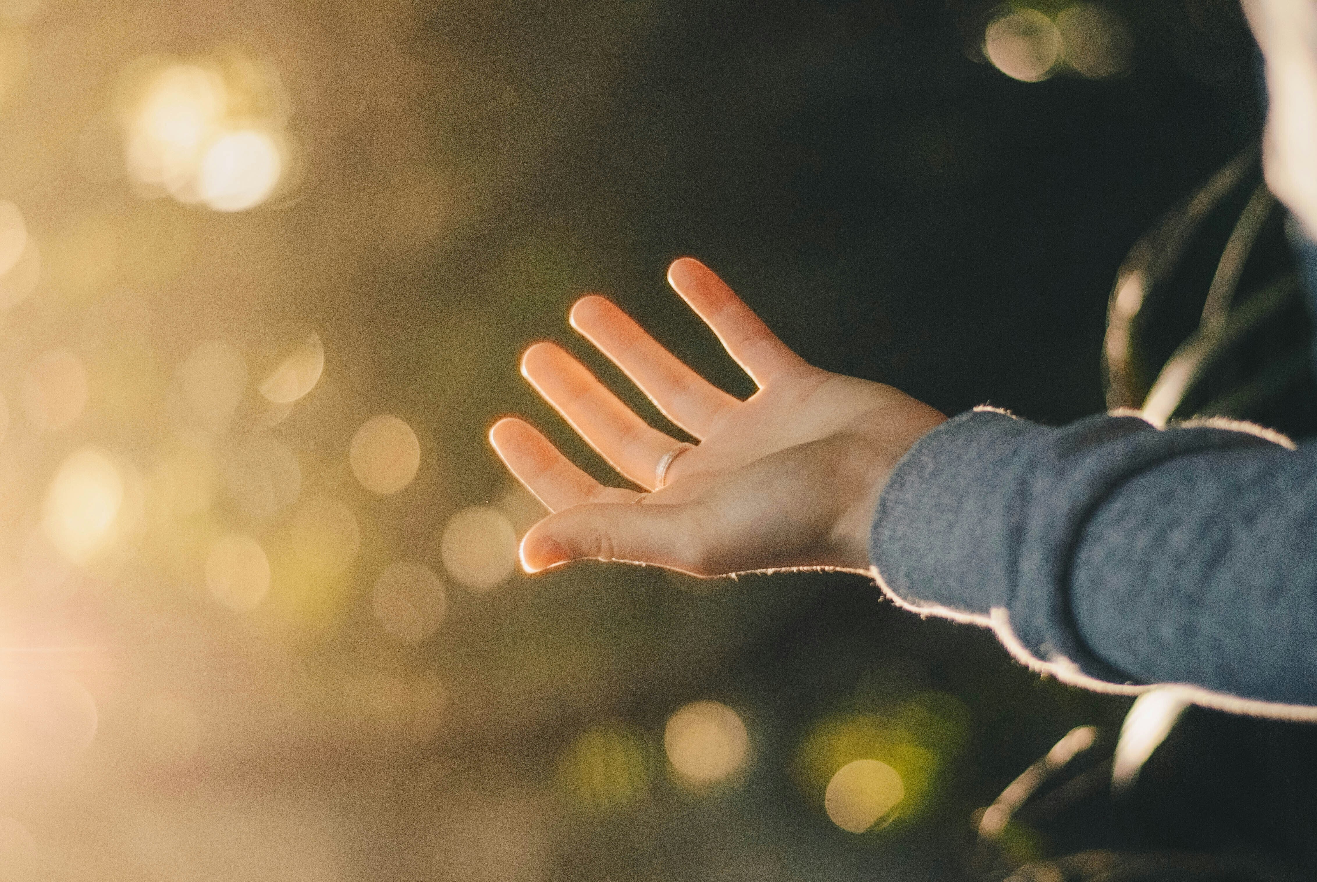 © dev-benjamin-voIz_unsplash